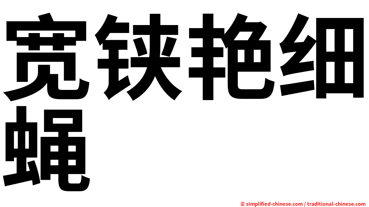 宽铗艳细蝇