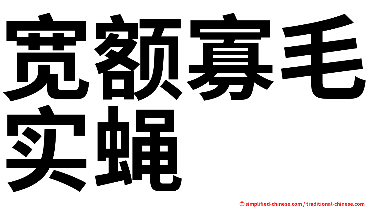 宽额寡毛实蝇