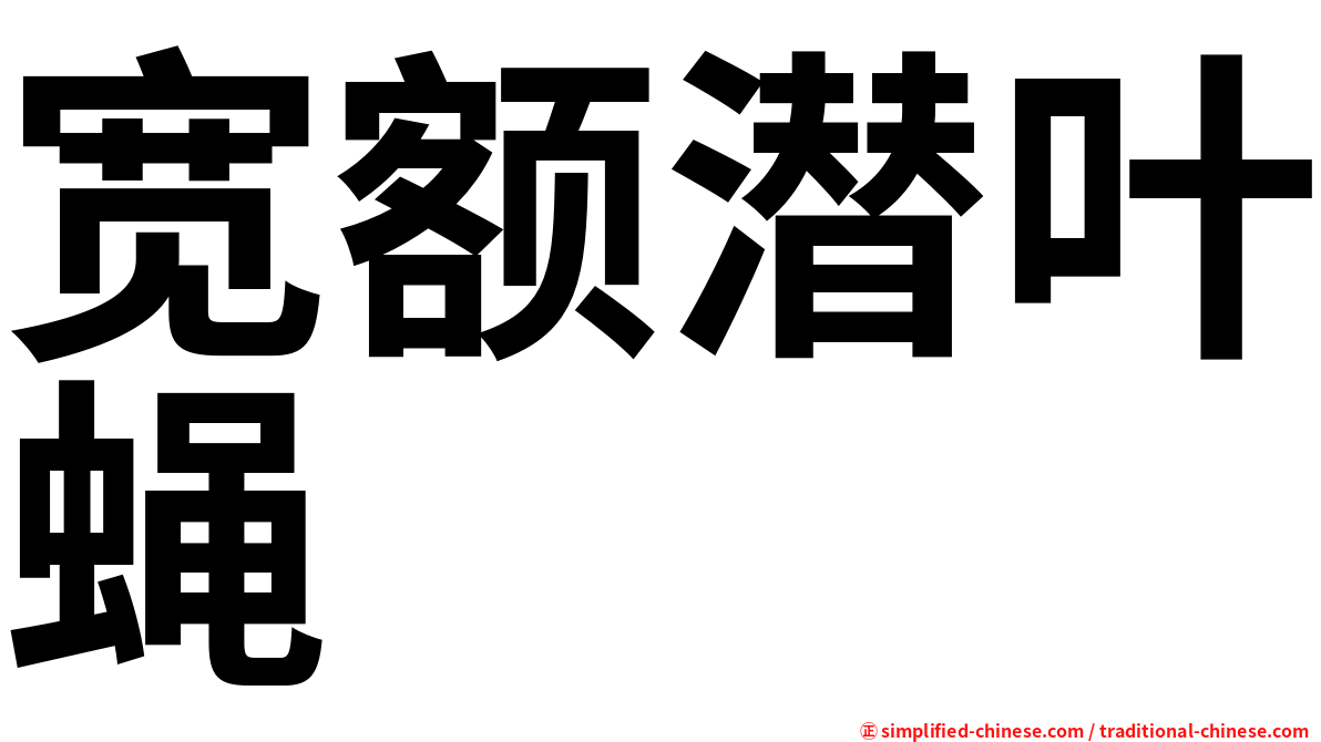宽额潜叶蝇