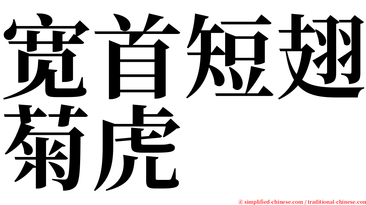 宽首短翅菊虎 serif font