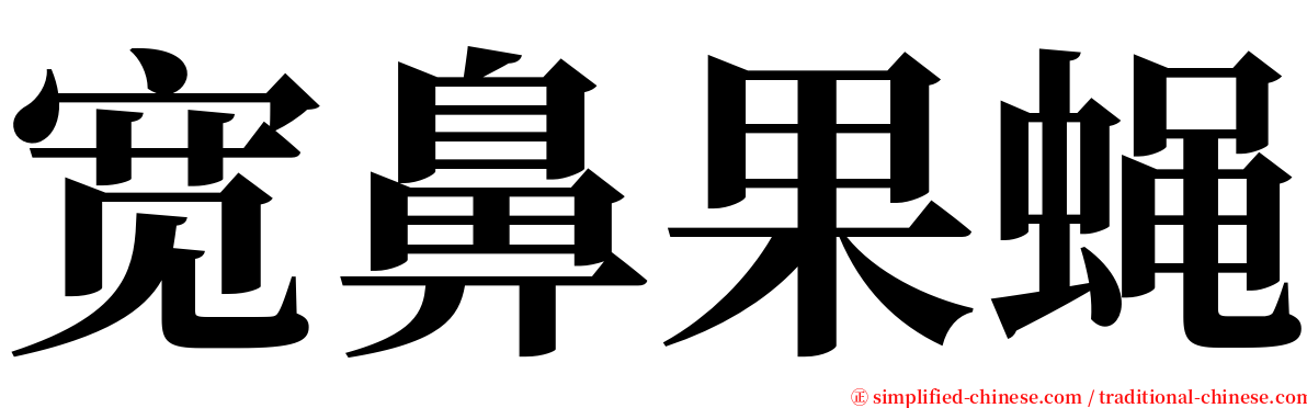 宽鼻果蝇 serif font