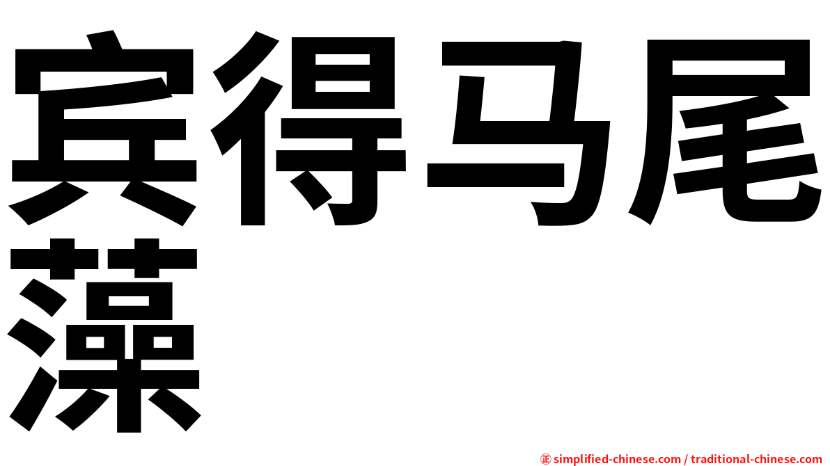 宾得马尾藻