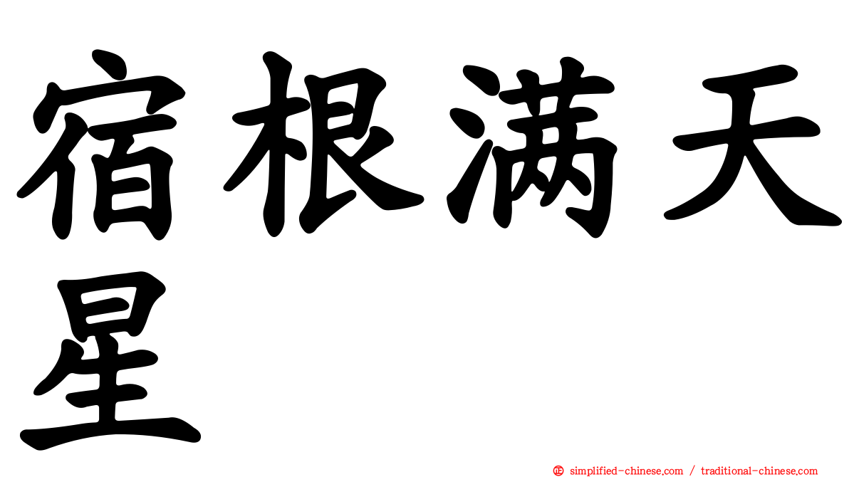 宿根满天星