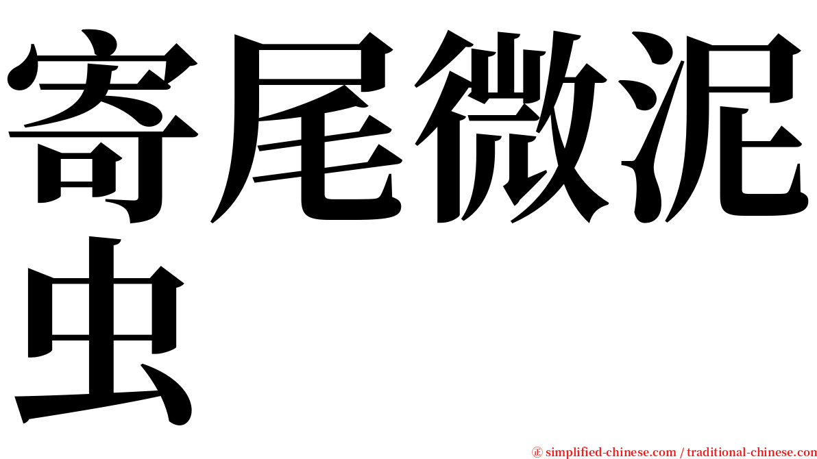 寄尾微泥虫 serif font