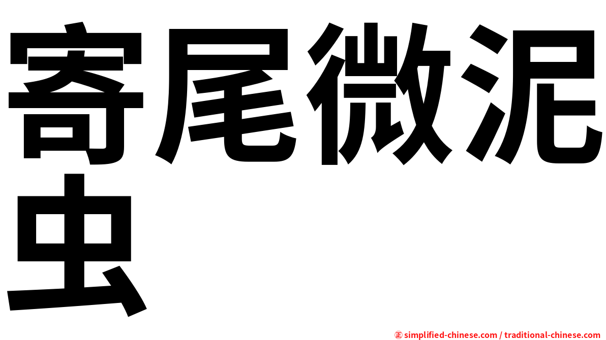 寄尾微泥虫