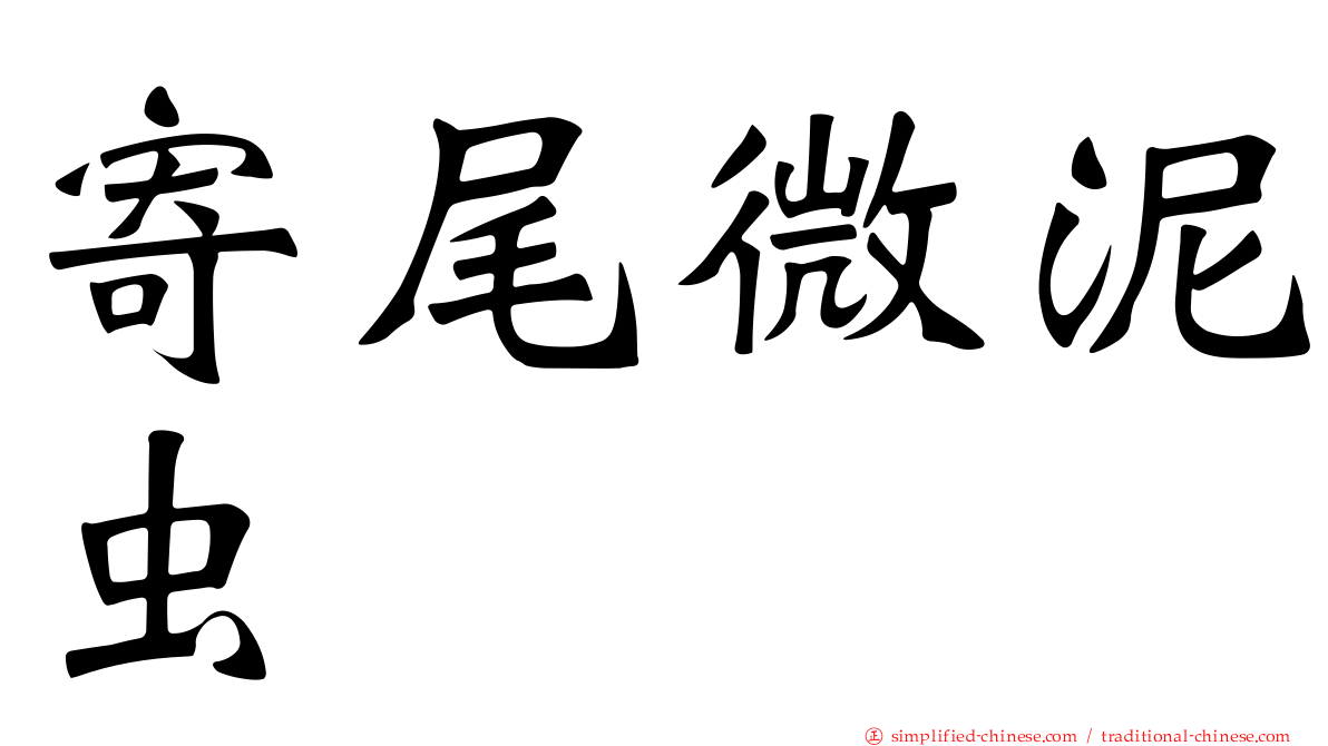 寄尾微泥虫