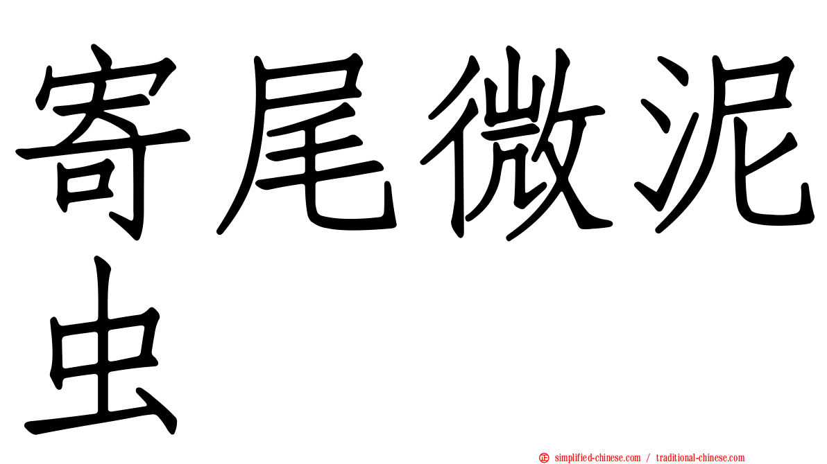 寄尾微泥虫
