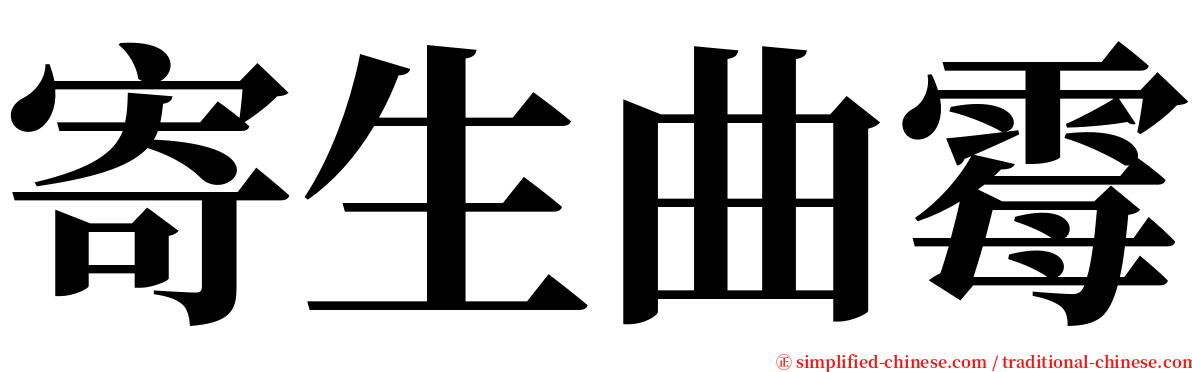 寄生曲霉 serif font