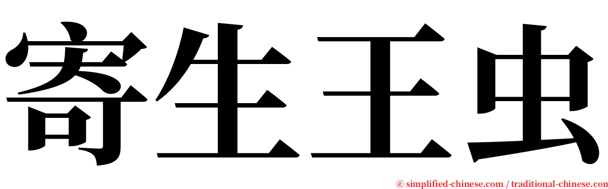 寄生王虫 serif font