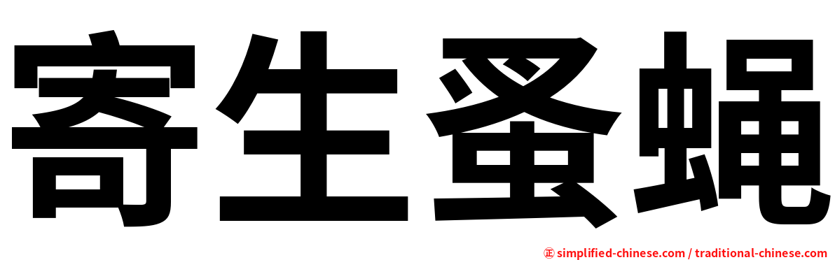 寄生蚤蝇