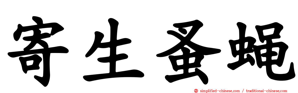 寄生蚤蝇