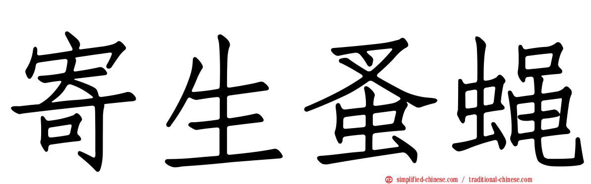 寄生蚤蝇