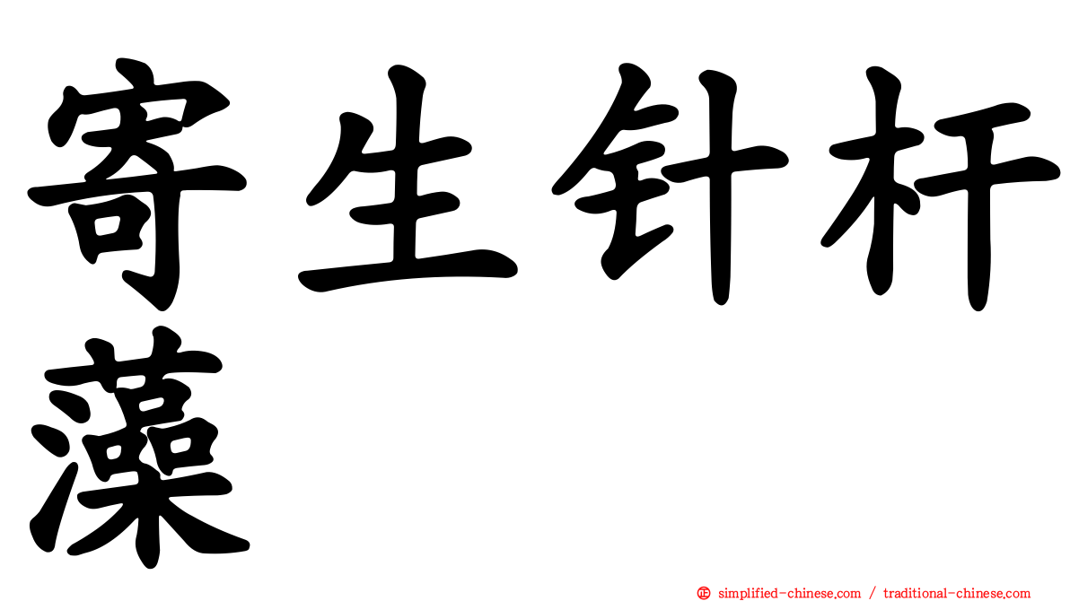 寄生针杆藻
