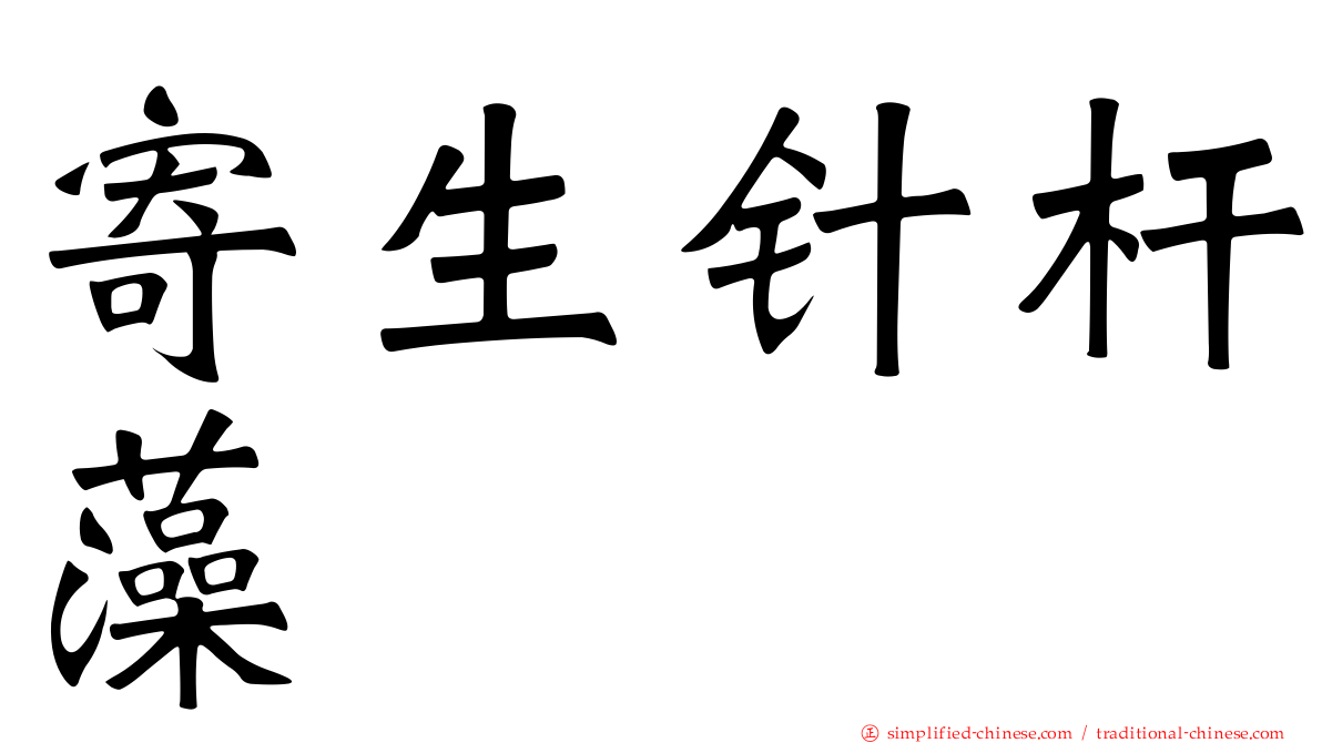 寄生针杆藻