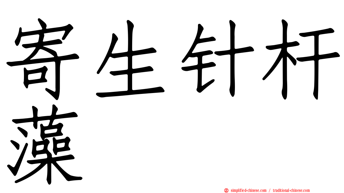 寄生针杆藻