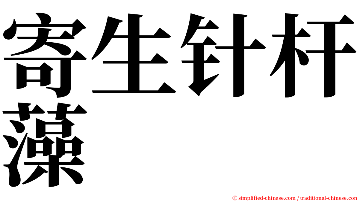 寄生针杆藻 serif font