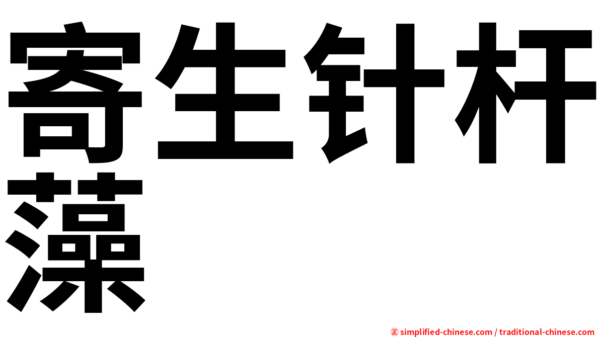 寄生针杆藻
