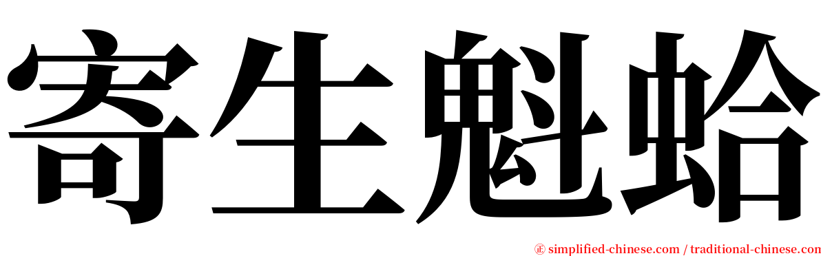 寄生魁蛤 serif font