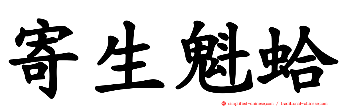寄生魁蛤
