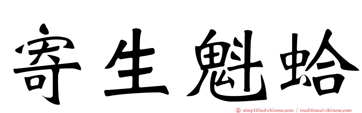 寄生魁蛤