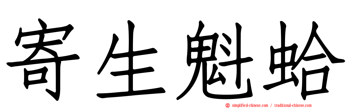 寄生魁蛤