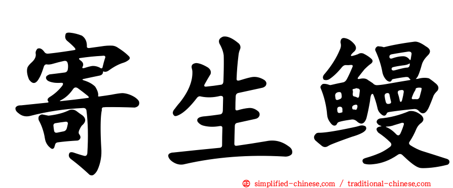 寄生鳗