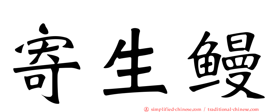 寄生鳗