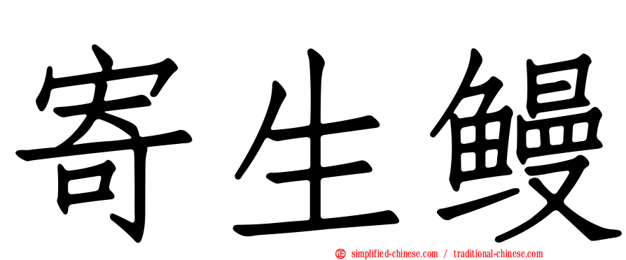 寄生鳗
