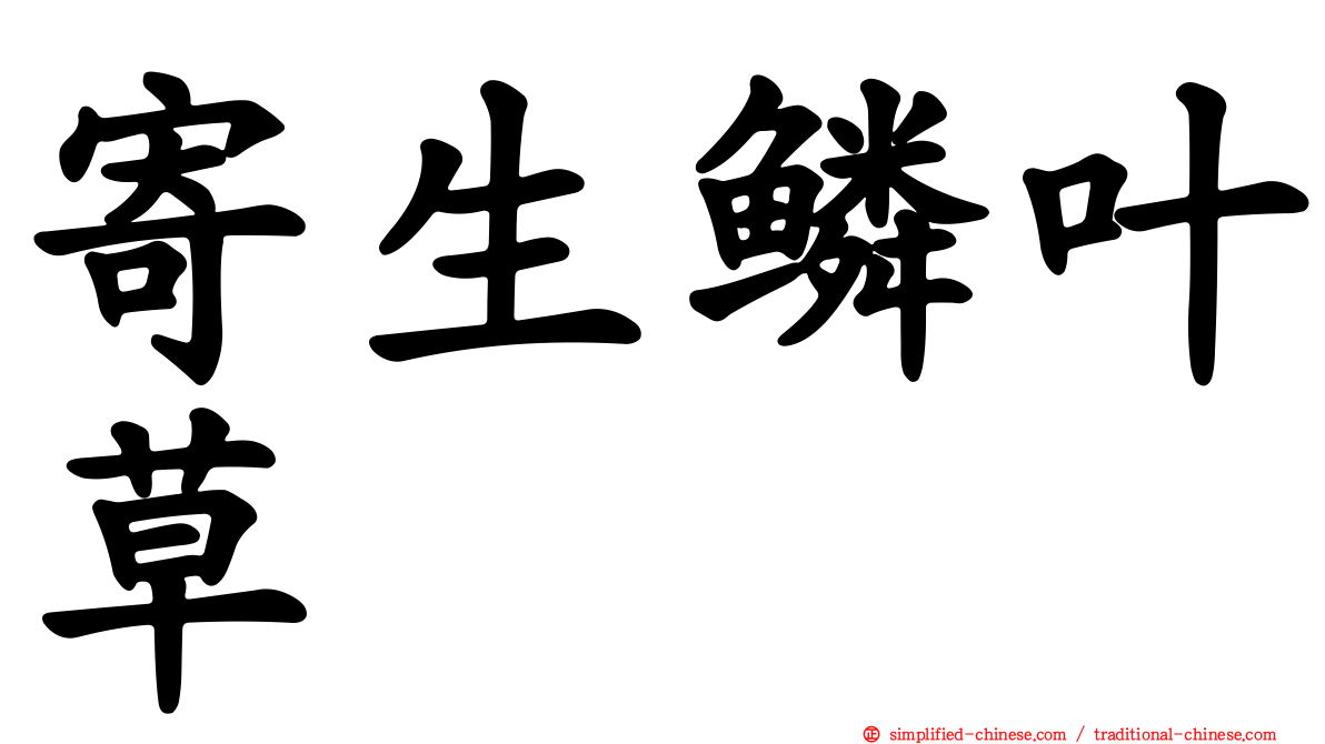 寄生鳞叶草