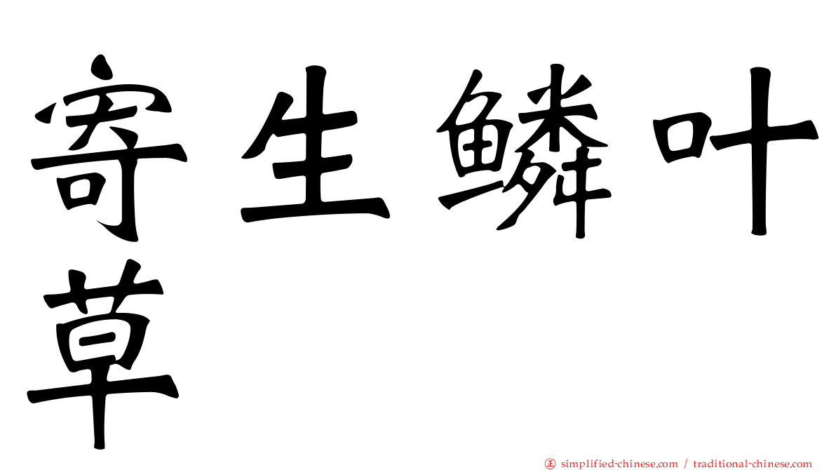 寄生鳞叶草