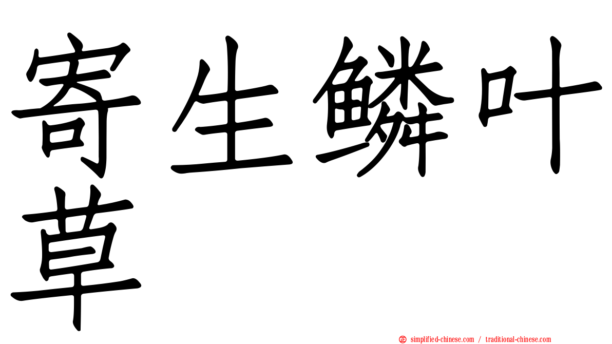 寄生鳞叶草
