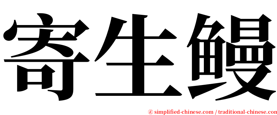寄生鳗 serif font