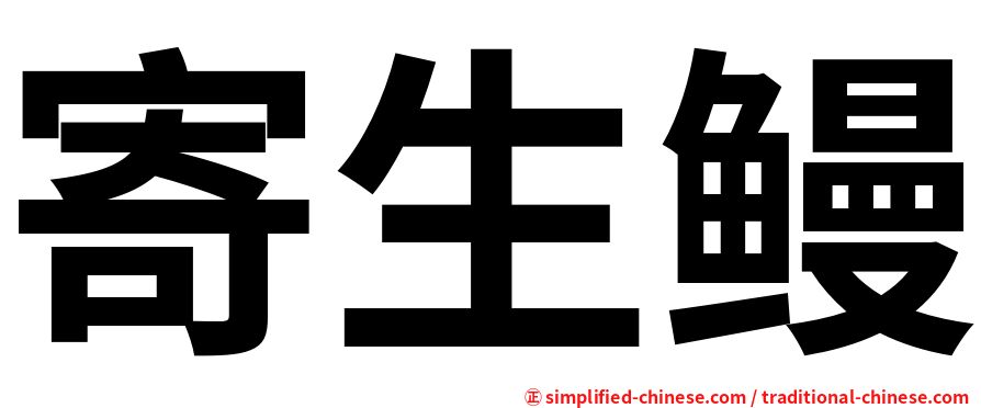 寄生鳗
