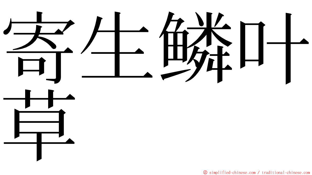 寄生鳞叶草 ming font
