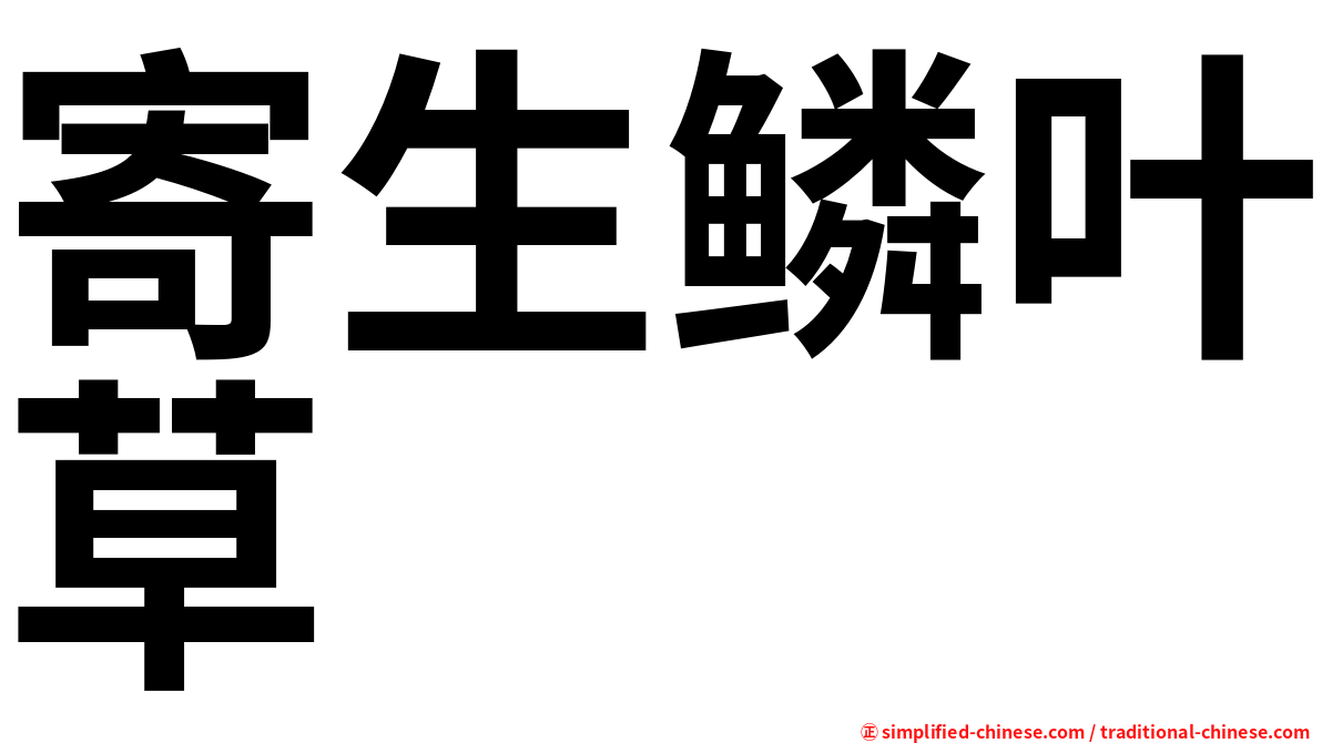 寄生鳞叶草