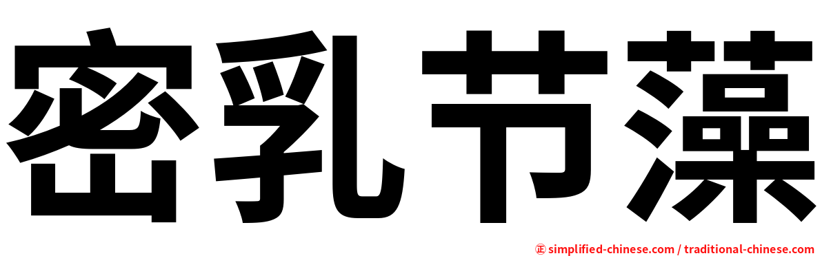 密乳节藻