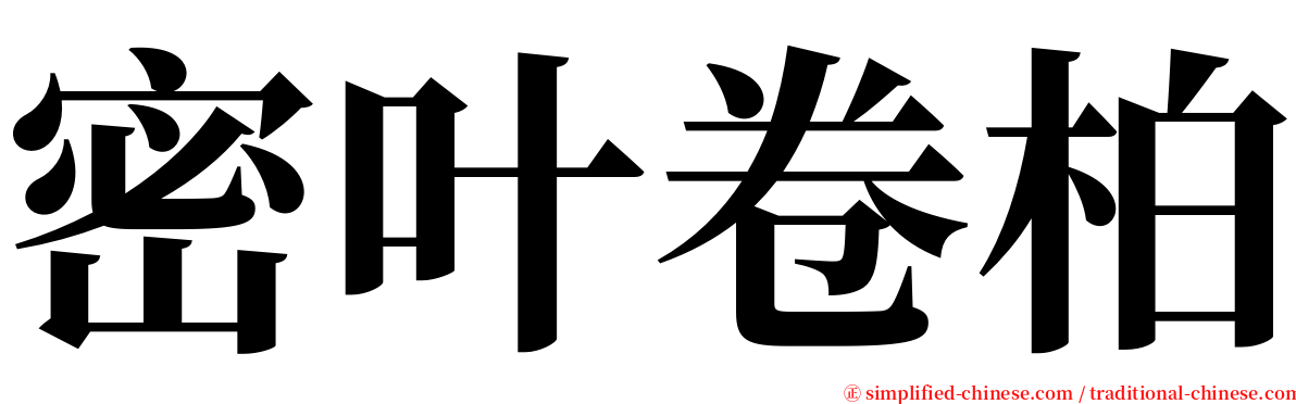 密叶卷柏 serif font