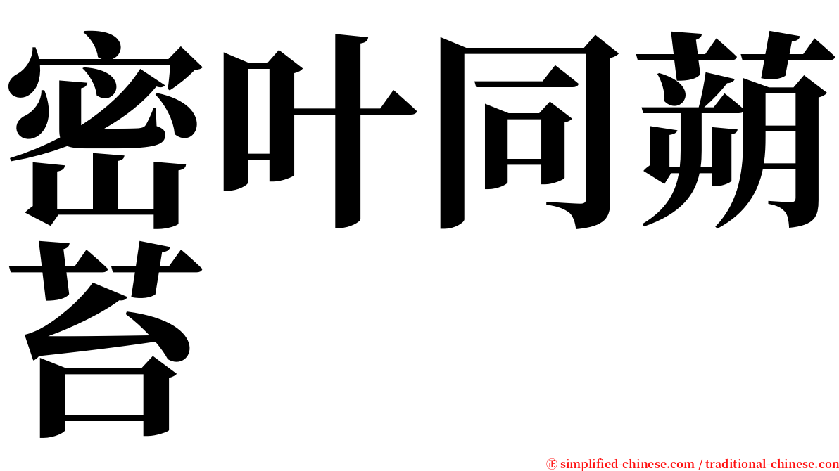 密叶同蒴苔 serif font
