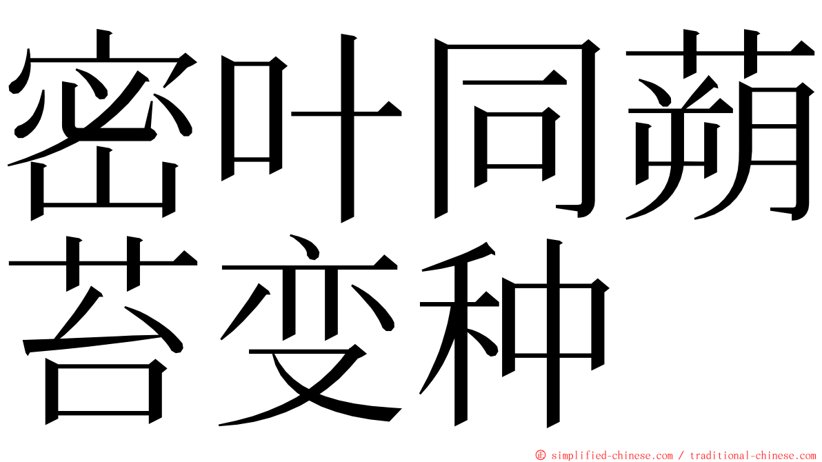 密叶同蒴苔变种 ming font