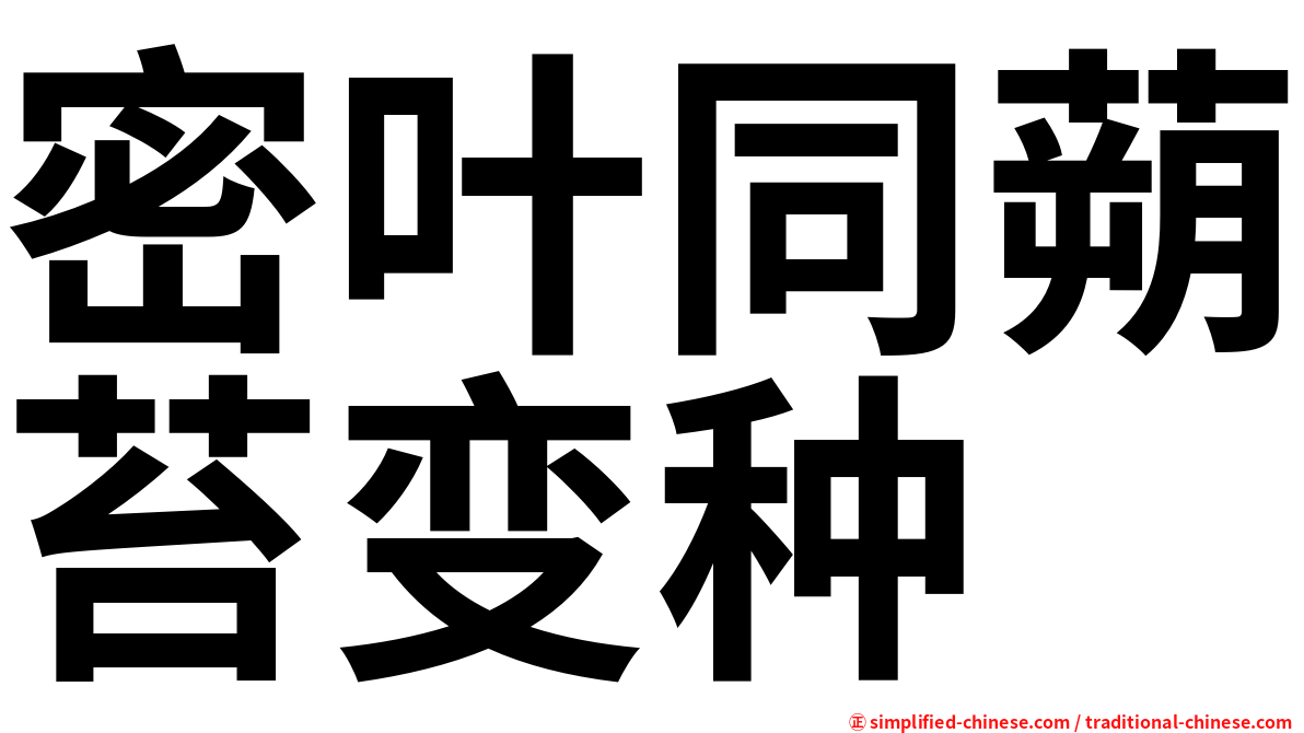 密叶同蒴苔变种