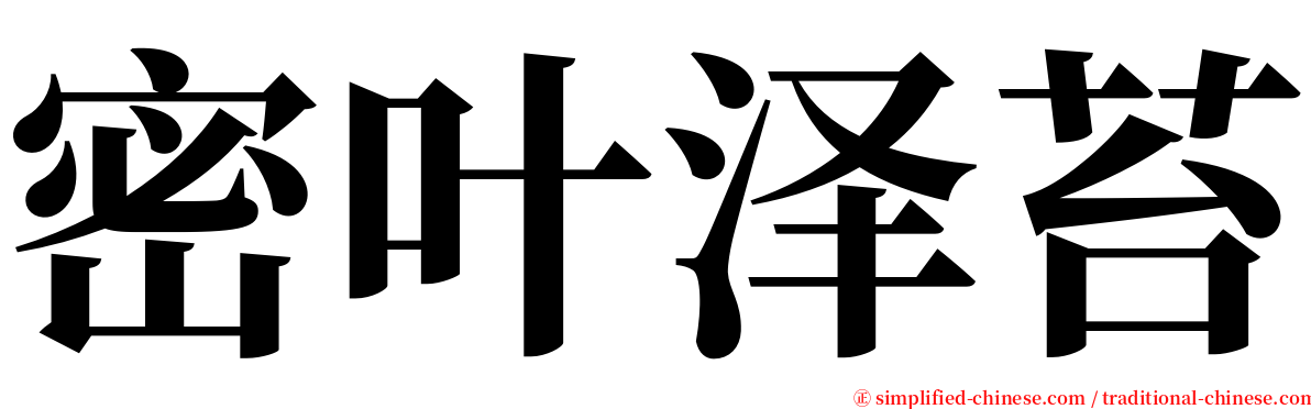 密叶泽苔 serif font