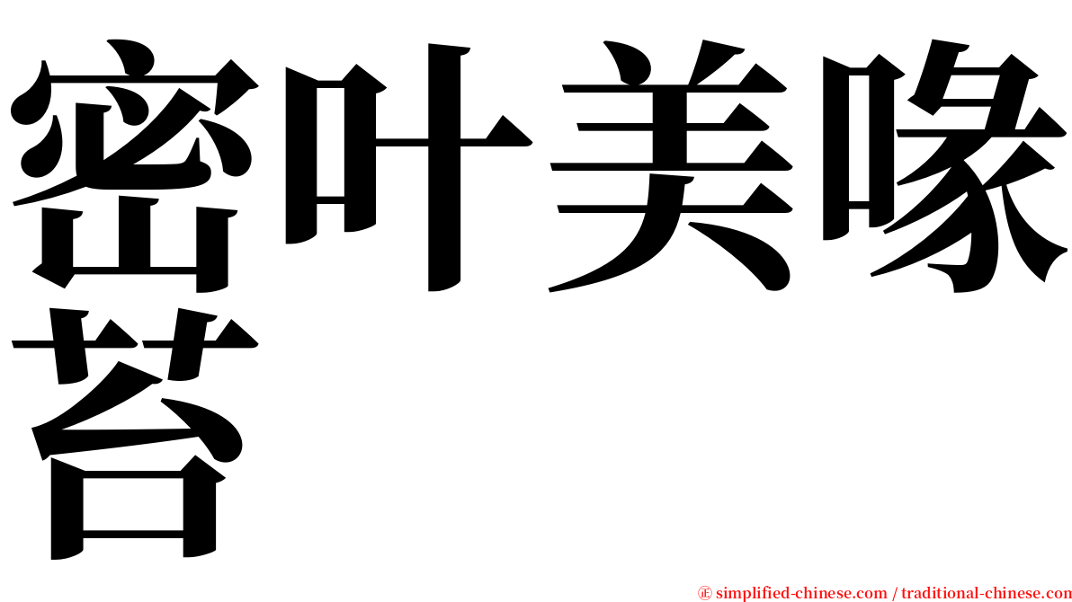 密叶美喙苔 serif font