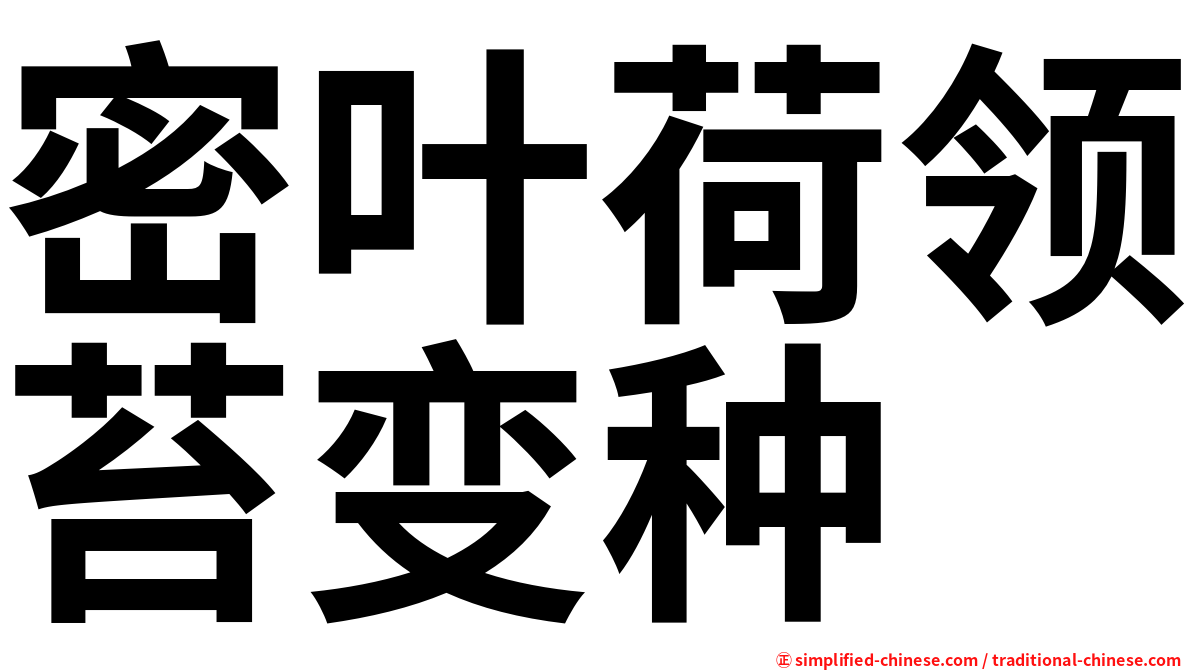 密叶荷领苔变种