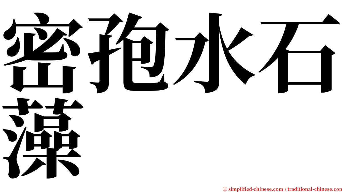 密孢水石藻 serif font