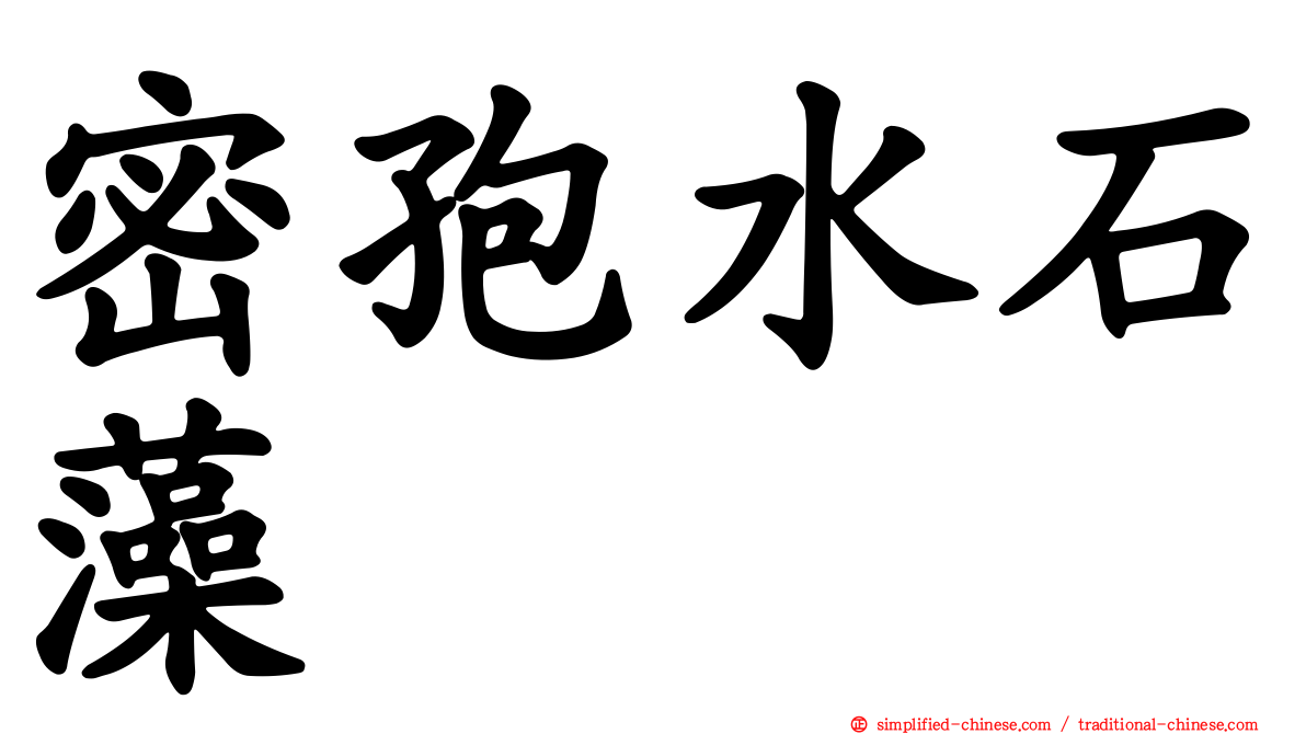 密孢水石藻