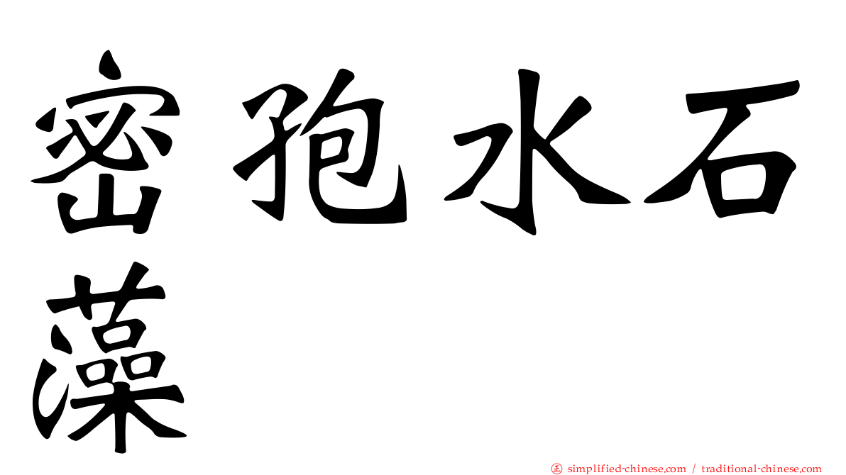 密孢水石藻
