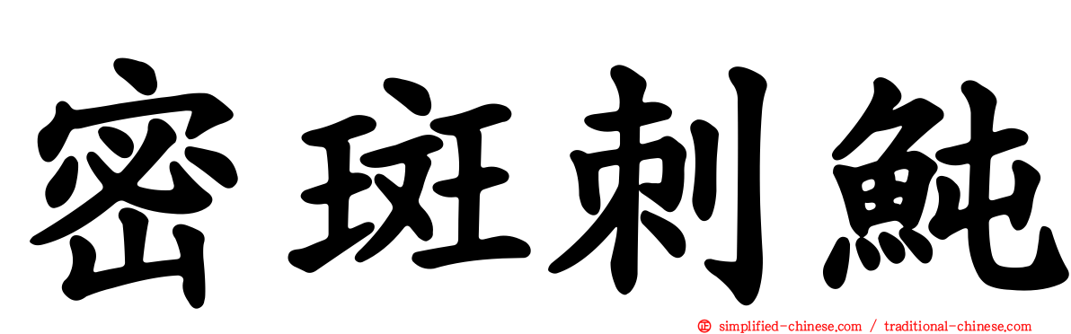 密斑刺鲀