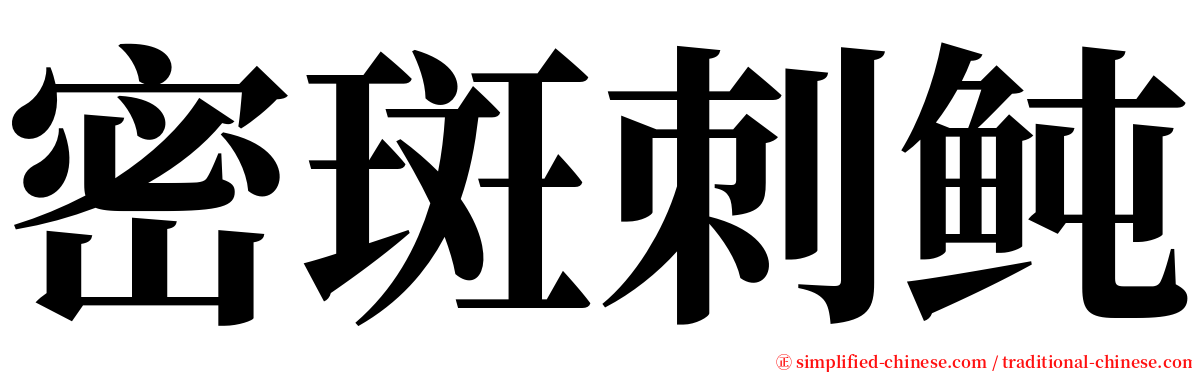 密斑刺鲀 serif font