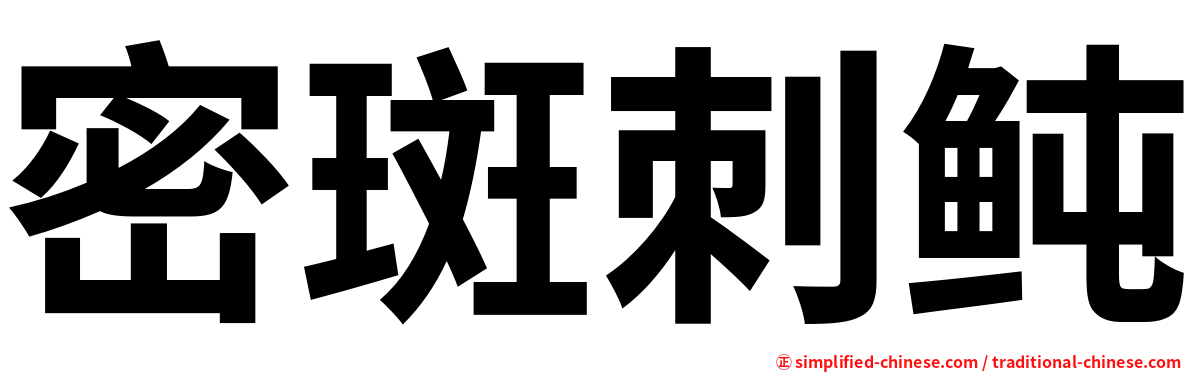 密斑刺鲀