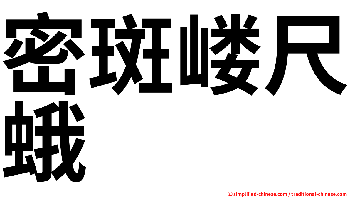密斑嵝尺蛾